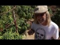 Jorge Cervantes: Lake County Outdoor Garden 2011 (Part 2)