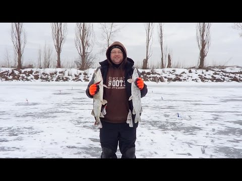 щуки монстры на жерлицу щуки чудовища получай жерлицу