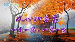 【心旅行 Mind Travel】人心如落葉，一生一落，一落一生...經典好文+動聽樂音…必看必收藏！