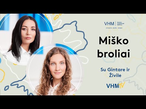 Vilniaus humanistinė mokykla. Miško broliai