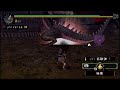 【MHP】 集会所Gクラスラスト緊急「伝説の黒龍1」 ソロ撃退