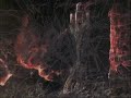Grave - Into the Grave - Extremely Rotten Flesh