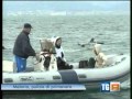 25.4.2013 – Giornata di pulizia dei fondali delle Secche della Meloria