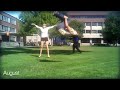 2011 - One Backflip A Day