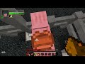 YogLabs - Pig Space Program