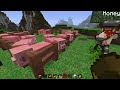 YogLabs - Pig Space Program