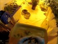 Harvesting Jack Herer Auto Flower Cannabis Marijuana Plant Weed Medical Grow