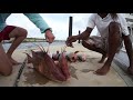 Spearfishing in the Bahamas 2013