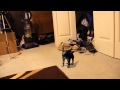 miniature