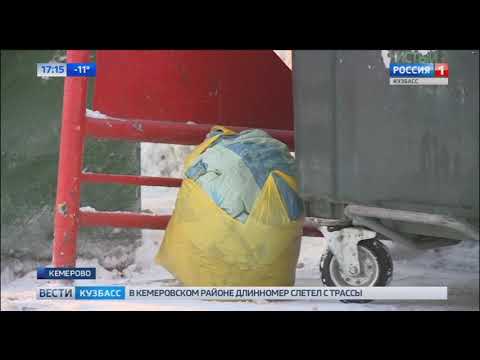 В Кемеровской области вступили в силу новые правила сбора мусора 