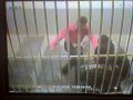 policias golpeados policias golpeados