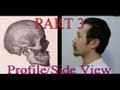 Part3 Profile View- Face Proportions For Portrait Drawing