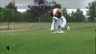 As 5 maiores loucuras de Rémi Gaillard