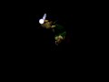 Drowning Speedrun