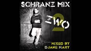 Schranz Mix 2 [30Min] mixed by Djane Mary