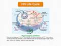 powerpoint presentation on hiv aids in india