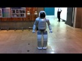 HONDA ASIMO @ German Embassy Tokyo Japan (during lock down alarm)