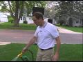 How To Protect Your Tree From Ash Borer Bugs