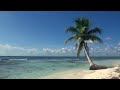 Relaxing 3 Hour Video of A Tropical Beach with Blue Sky White Sand and Palm Tree