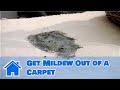 Carpet Cleaning : How to Get Mildew Out