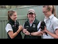 2012 Tasmanian Devil Joeys