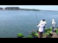 Threadfin Salmon Caught At Munambam Arabian Sea Estuary Munambam Fishing Season