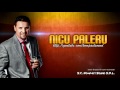 NICU PALERU - De-ti place, ori nu ti place Manele de Colectie