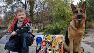 Немецкая овчарка и ребенок