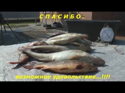 ловля судака весной на припяти ловля судака весной на припяти