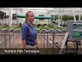 Behind The Seeds - Nutrient Film Technique