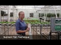 Behind The Seeds - Nutrient Film Technique