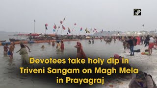 Video - यूपी: Prayagraj में Magh Mela में श्रद्धालुओं ने Triveni Sangam में लगाई डुबकी