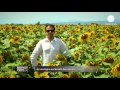 New energy and new directions in Bulgaria - business planet