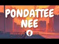 Launch Mini Player