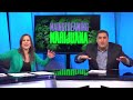 First Ever Marijuana TV Ad - Did They Nail It Or Creepfest?