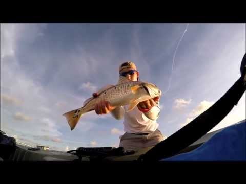 skinny water redfish video