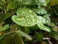 la meraviglia della Natura intorno a me
