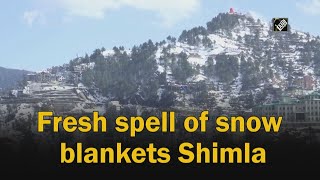 Video - Himachal के Shimla में फिर हुई Snowfall