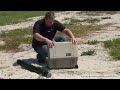 Rover Gold - Professional gold detector for natural gold