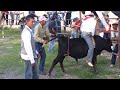 NIÑO MONTA TORO EN SAN JOSE DEL LLANO