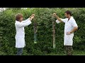 How a Slinky falls in Slow Motion - The Slow Mo Guys