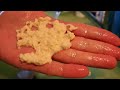 делаем супер-тесто для рыбалки