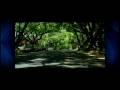 Audi A4 (2008) Commercial