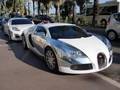 Bugatti Veyron + Porsche Panamera FAB DESIGN !!!!