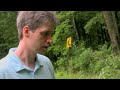 Closure - HV20 short film 24p