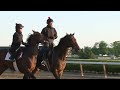 Orb's Final Workout and Trip to Pimlico