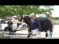 Orb's Final Workout and Trip to Pimlico