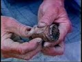 Potters of Japan Part One