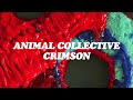 Animal Collective - Crimson