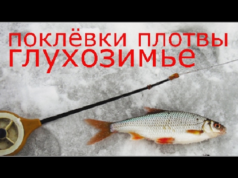 ловля плотвы с лодки видео бесплатно ловля плотвы с лодки видео бесплатно